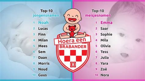 Infographic met de top 10 meisjesnamen in Amerika