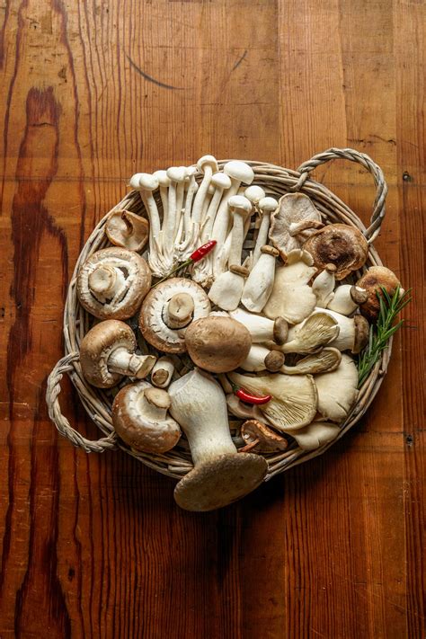 een kleurrijke selectie van verse paddestoelen in een mandje