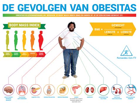 infographic over de impact van overgewicht op de hormoonhuishouding