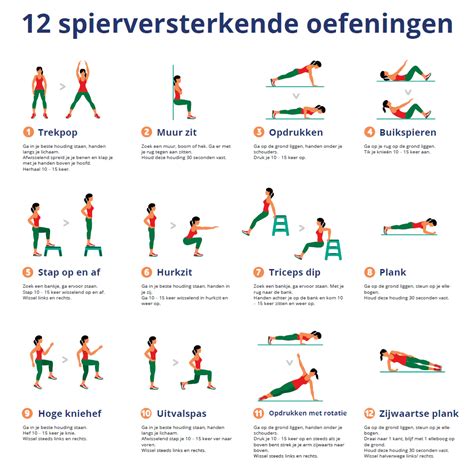 Reeks afbeeldingen die de verschillende stabilisatie- en versterkingsoefeningen voor het bekken en de rug illustreren.