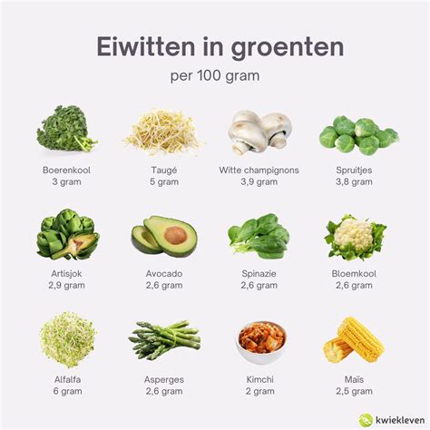 Illustratie van voedingsmiddelen rijk aan ijzer, foliumzuur en vitamine B12