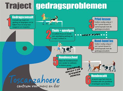 Hond die bezitterig gedrag vertoont