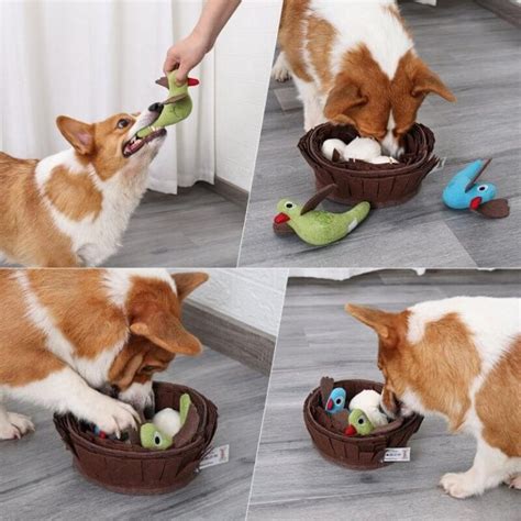 Hond die een 'nest' bouwt met speelgoed