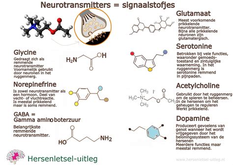 illustratie van de hersenen met focus op neurotransmitters zoals serotonine en dopamine