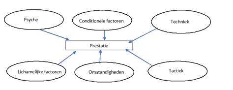 Illustratie die de belangrijkste factoren die de vruchtbaarheid beïnvloeden weergeeft: leeftijd, leefstijl, voeding, stress en medische factoren.