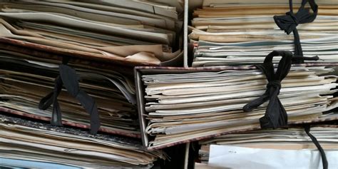 Infographic met de belangrijkste bevindingen van het Dibevo-onderzoek naar huisdierproducten