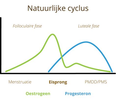 Schema van de natuurlijke en kunstmatige cyclus voor embryo terugplaatsing