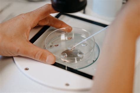 Infographic die het proces van embryo invriezen en ontdooien illustreert