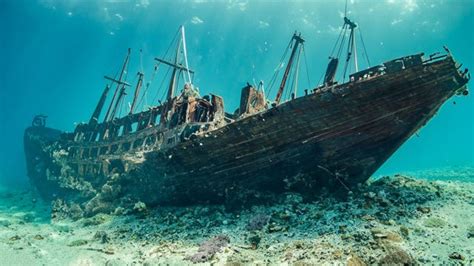 Snorkelen bij een scheepswrak voor de kust van Elba
