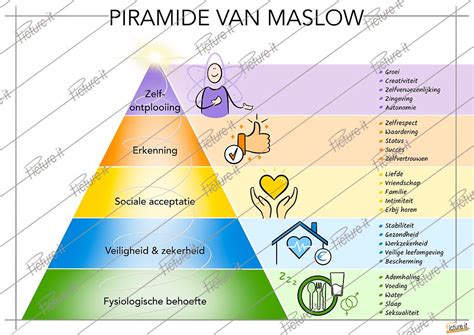 visuele uitleg van de drie behandelingsopties na een missed abortion