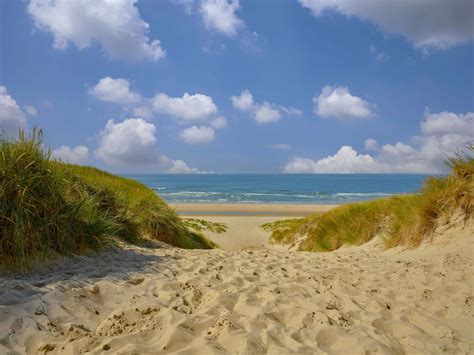 Een breed zandstrand met duinen op een zonnige dag, met enkele parasols en strandgangers.