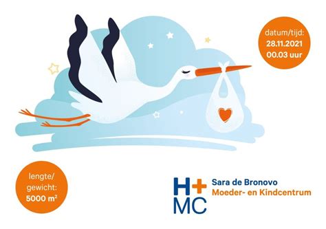 Illustratie van de buitenkant van het HMC Sara de Bronovo Moeder- en Kindcentrum