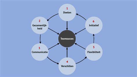 Schema van de samenwerking binnen het VSV HMC