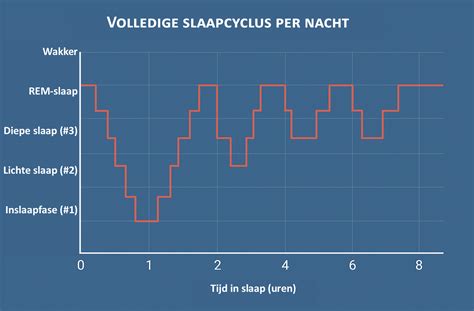 infographic over slaapcycli bij baby's