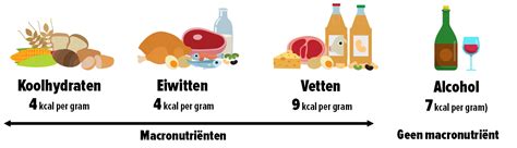 Schema van de verhouding van macronutriënten (vetten, koolhydraten, eiwitten) in Nutrilon A.R. 1.