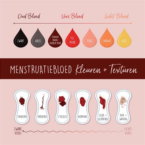 Vergelijking van innestelingsbloeding (lichtroze/bruine spotting) en menstruatiebloed (helder/donkerrood).
