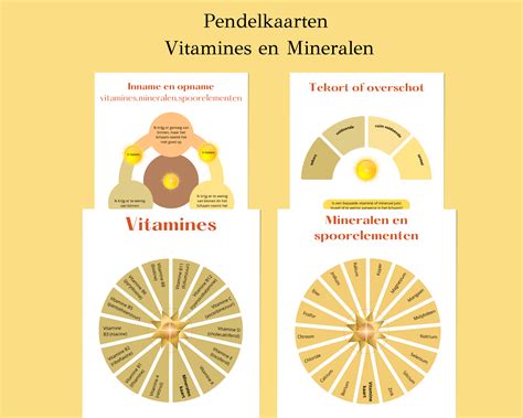 Infographic over de benodigde vitamines en mineralen voor baby's.