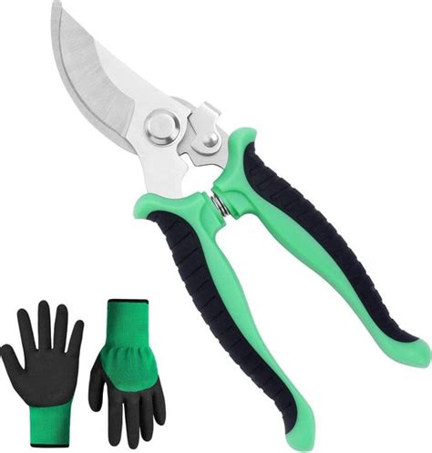 Een tuinschaar die pampasgras snoeit tot ongeveer 40 cm hoogte.