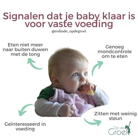 Infographic met signalen dat een baby klaar is voor vaste voeding: rechtop zitten, hoofd rechtop houden, motoriek om te pakken, verplaatste kokhalsreflex.