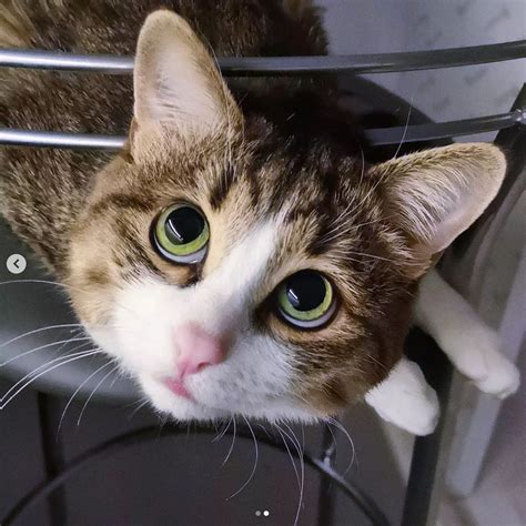 Illustratie van een kind dat probeert te reiken naar een gevaarlijk schoonmaakmiddel