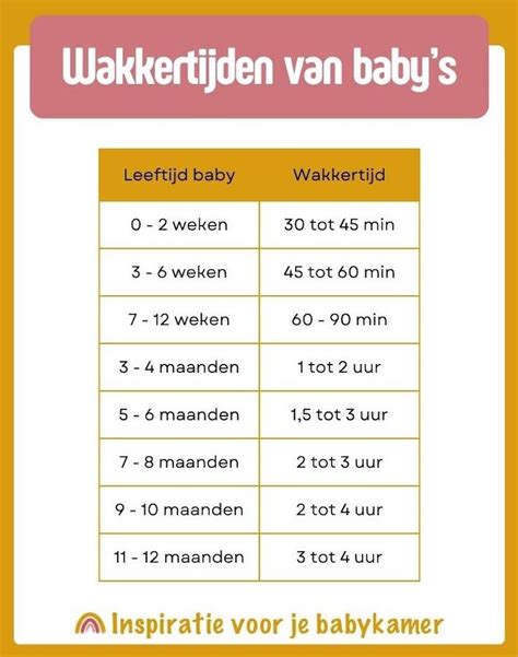 Infographic die de ideale wakkertijden voor baby's per leeftijdscategorie weergeeft.
