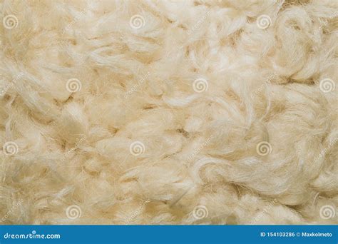 Detail van Perzische/Karakul lamsvacht met kenmerkende krullen