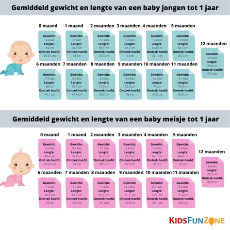 Infographic met gemiddelde geboortegewichten en gewichtstoename per week voor baby's