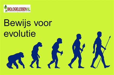 Een vergelijking van 2D-, 3D- en 4D-echo's die de evolutie van beeldkwaliteit tonen.
