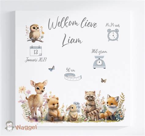 Voorbeeld van een 3D geboorteschilderij met naam en geboortegegevens.