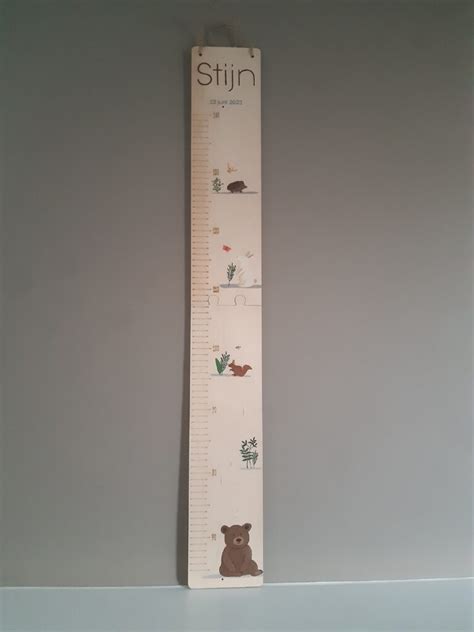 Screenshots van de online editor voor het personaliseren van een groeimeter