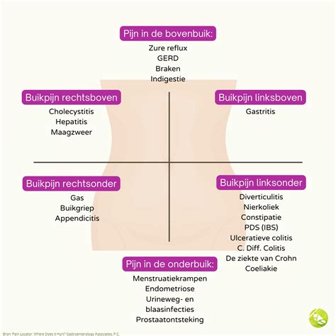 infographic die de verschillende oorzaken van buikpijn tijdens de zwangerschap toont