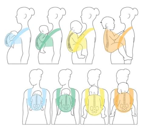 Illustratie van de M-houding (kikkerhouding) in een draagdoek, waarbij de knieën van de baby hoger zijn dan de heupen en de beentjes gespreid zijn.