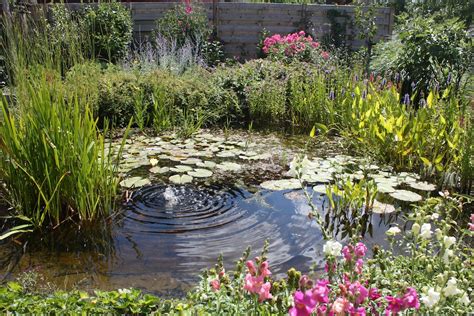 Een kleurrijke vlindertuin met tropische planten en een kleine vijver met stapstenen.