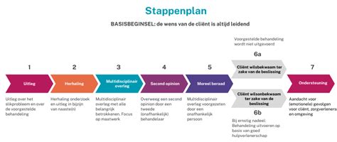 Infographic met de belangrijkste stappen van zwangerschapsbegeleiding, van kinderwens tot kraambed.