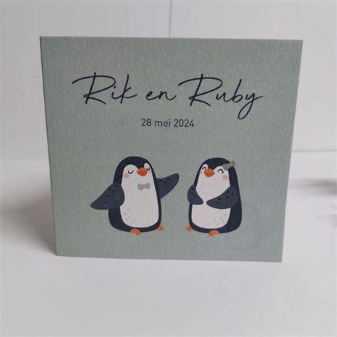 Illustratie van twee schattige baby's op een geboortekaartje voor een tweeling.