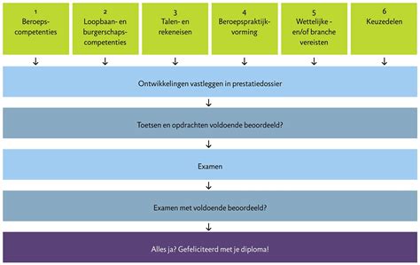 Schema dat de opbouw van een dubbelblinde placebogecontroleerde voedselprovocatietest illustreert, met de vergelijking van verum- en placebodagen.