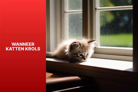 Illustratie van een kat die krols gedrag vertoont