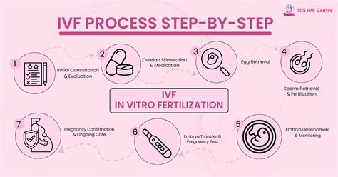 Schema van het IVF-proces