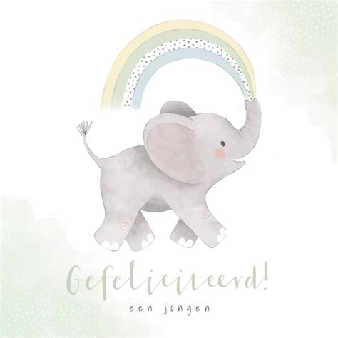 Voorbeeld van een trendy felicitatiekaart met regenboog en diertjes