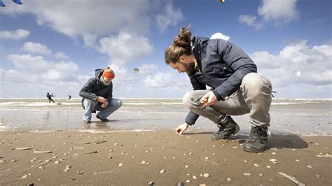 Kinderen die schelpen zoeken op het strand van Terschelling.