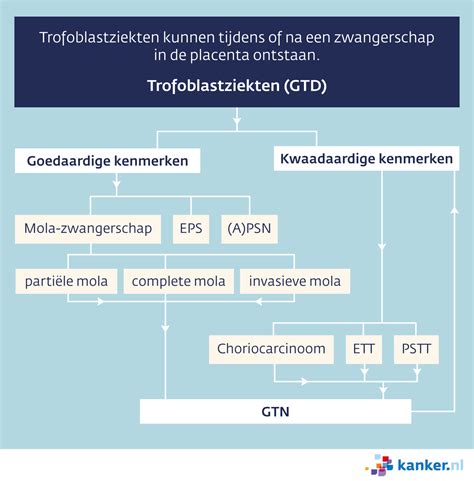 Schema van de mogelijke uitzaaiingsroutes van kwaadaardige trofoblastziekten