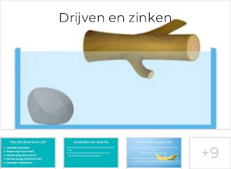 infographic die het verschil tussen zinken en drijven uitlegt met voorbeelden van een boomstam en een steen