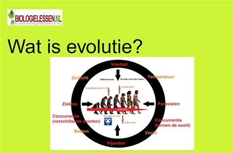 Infographic met de evolutie van Maxi-Cosi autostoeltjes sinds 1984 en de belangrijkste innovaties.