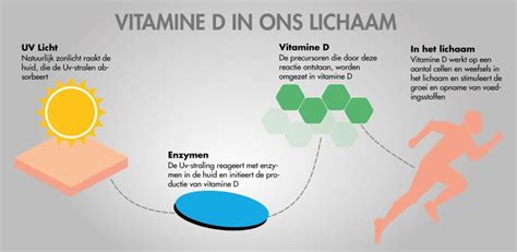 infographic die de werking van vitamine D voor botten en immuunsysteem uitlegt