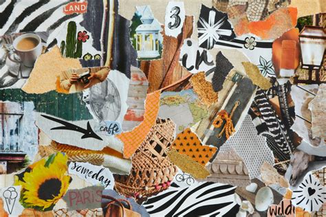 Collage van verschillende universele meerijdplankjes