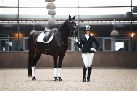 Een paard dat speelt met een zelfgemaakte voerbal.