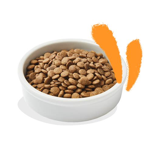 Een plastic fles gevuld met brokjes, met gaten om het voer eruit te laten komen.