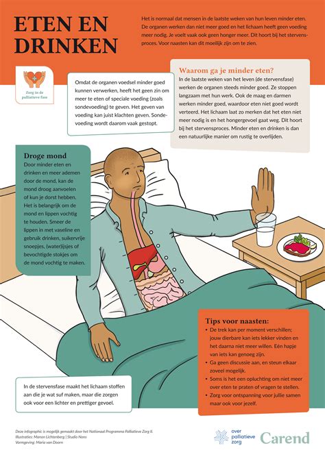 Infographic met tips voor eten en drinken bij hyperemesis gravidarum.