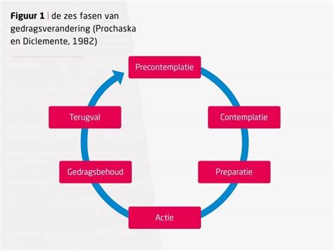 Schema dat de verschillende fasen van het Bio HCG dieet visueel weergeeft.