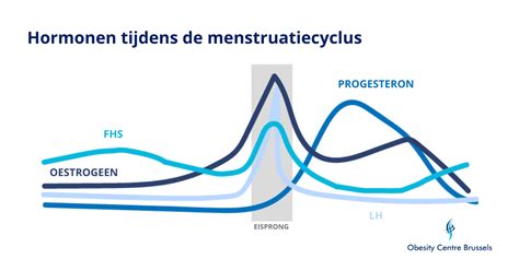 infographic die de wisselwerking tussen hormonale veranderingen en het immuunsysteem tijdens de menstruatiecyclus toont